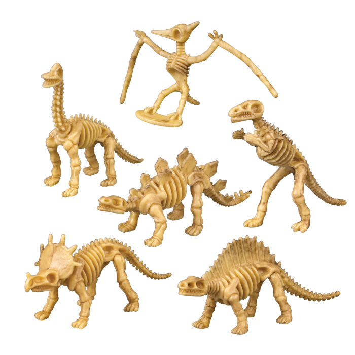 Skeleton Dinosaurs